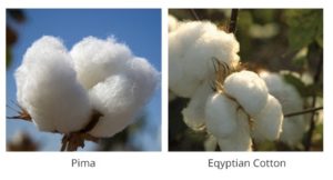 Egyptian Cotton Sheets Vs Pima Cotton Sheets